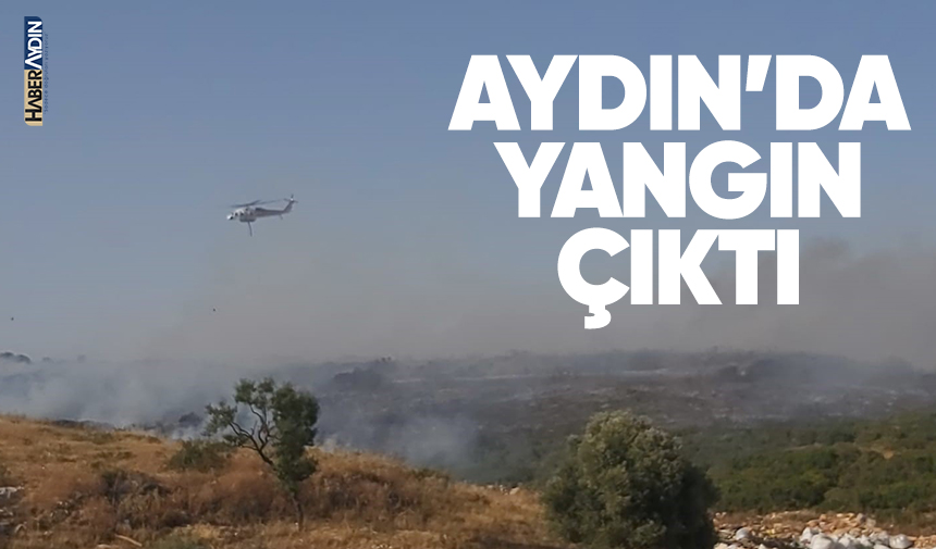 Aydın'da Yangın Çıktı 1