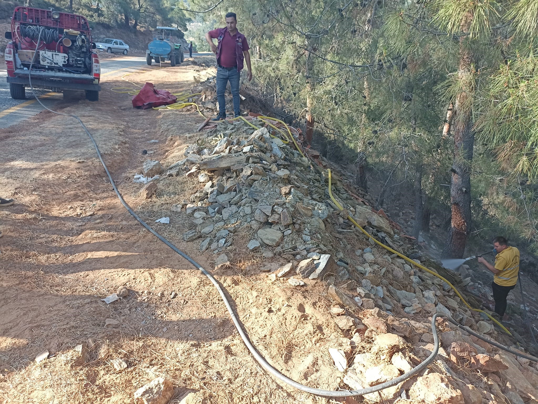 Aydın'daki Orman Yangınına Kritik Müdahale 4