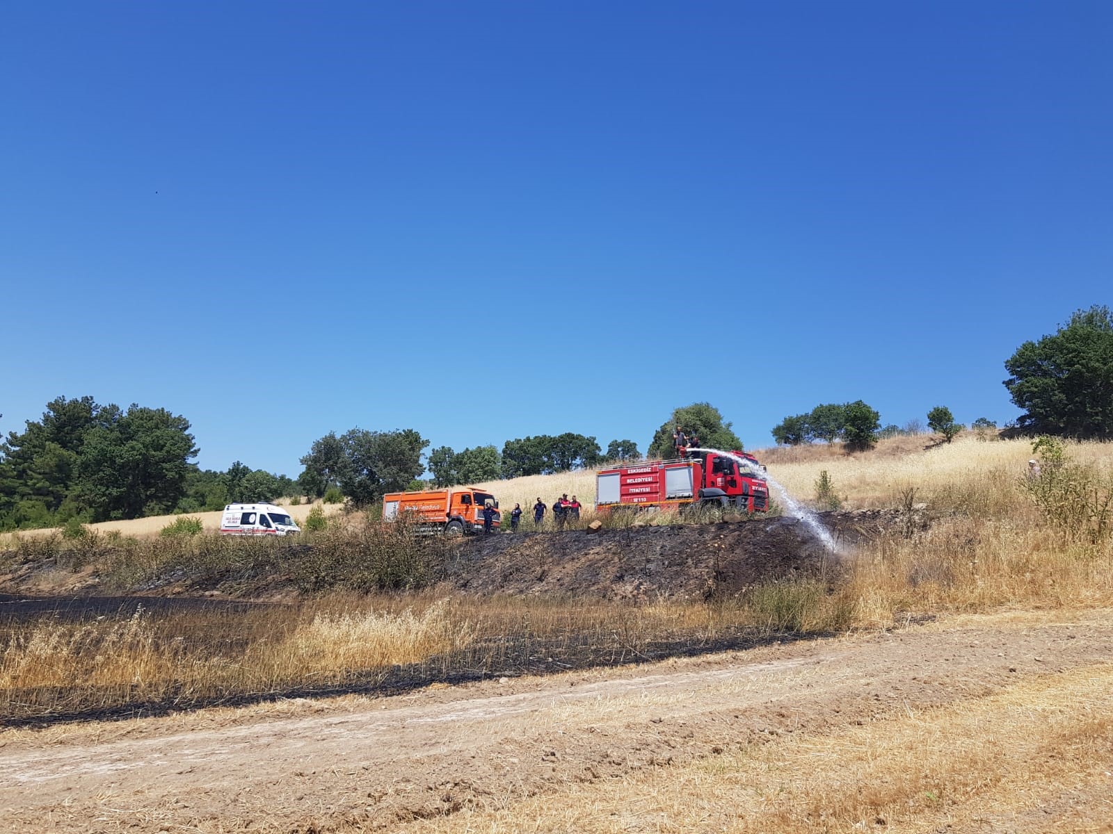 Buğday Tarlası Yandı 2