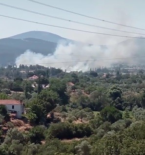 Muğla'da Yangın Çıktı 1