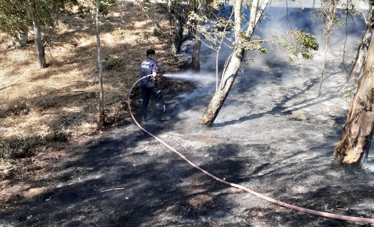 Aydın Büyükşehir Belediyesi'nin Ateş Savaşçıları Yangından Yangına Koştu (4)