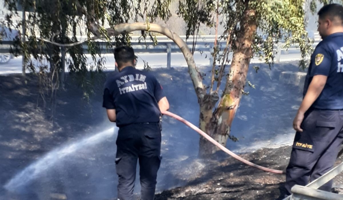 Aydın Büyükşehir Belediyesi'nin Ateş Savaşçıları Yangından Yangına Koştu