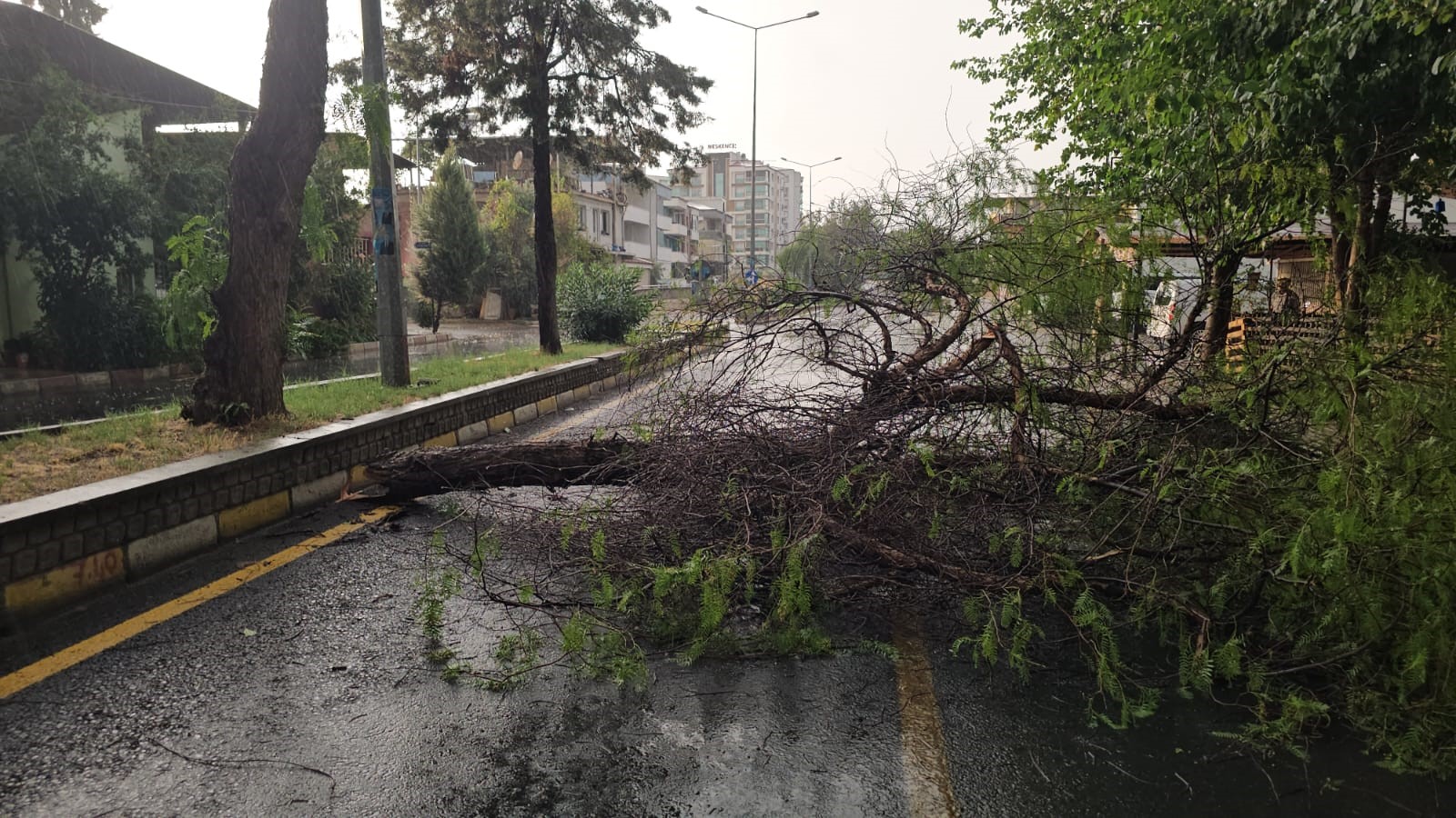 Aydın'a Dolu Yağdı (5)