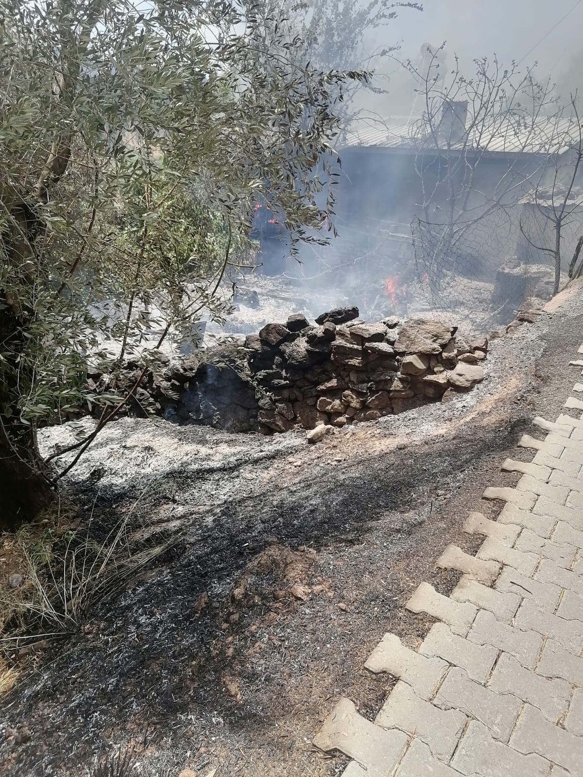 Aydın'da Evdeki Yangın Araziye Sıçradı (2)