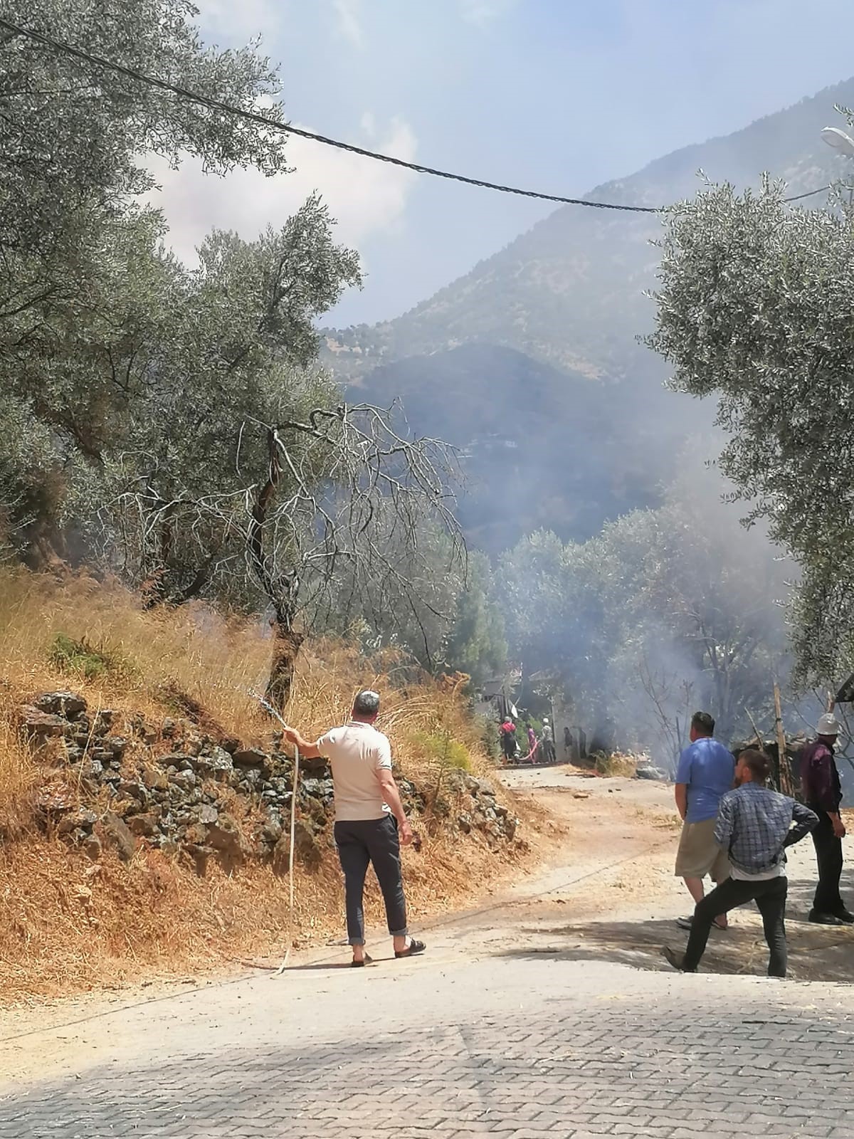 Aydın'da Evdeki Yangın Araziye Sıçradı (3)