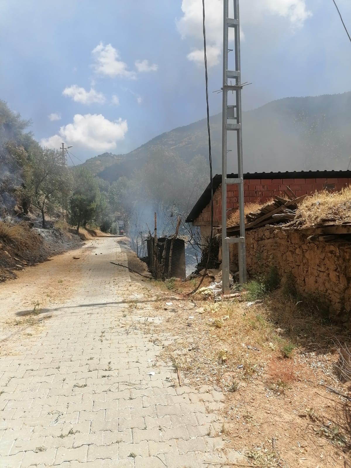 Aydın'da Evdeki Yangın Araziye Sıçradı (4)