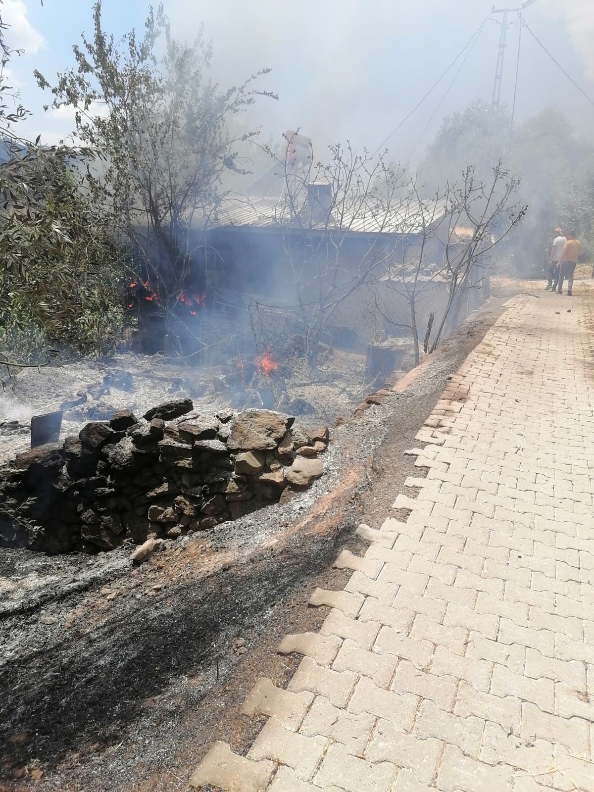 Aydın'da Evdeki Yangın Araziye Sıçradı (5)