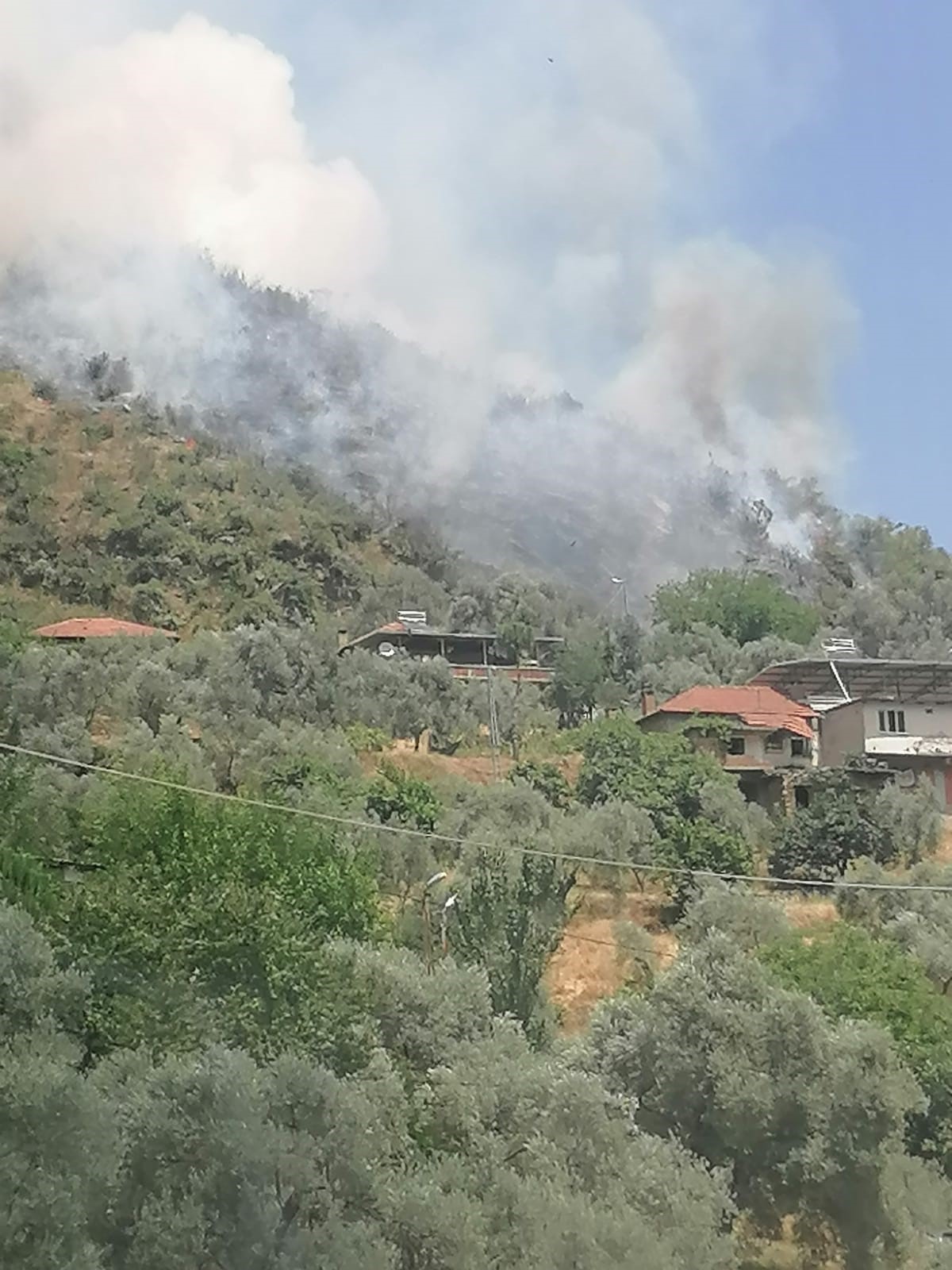 Aydın'da Evdeki Yangın Araziye Sıçradı (6)