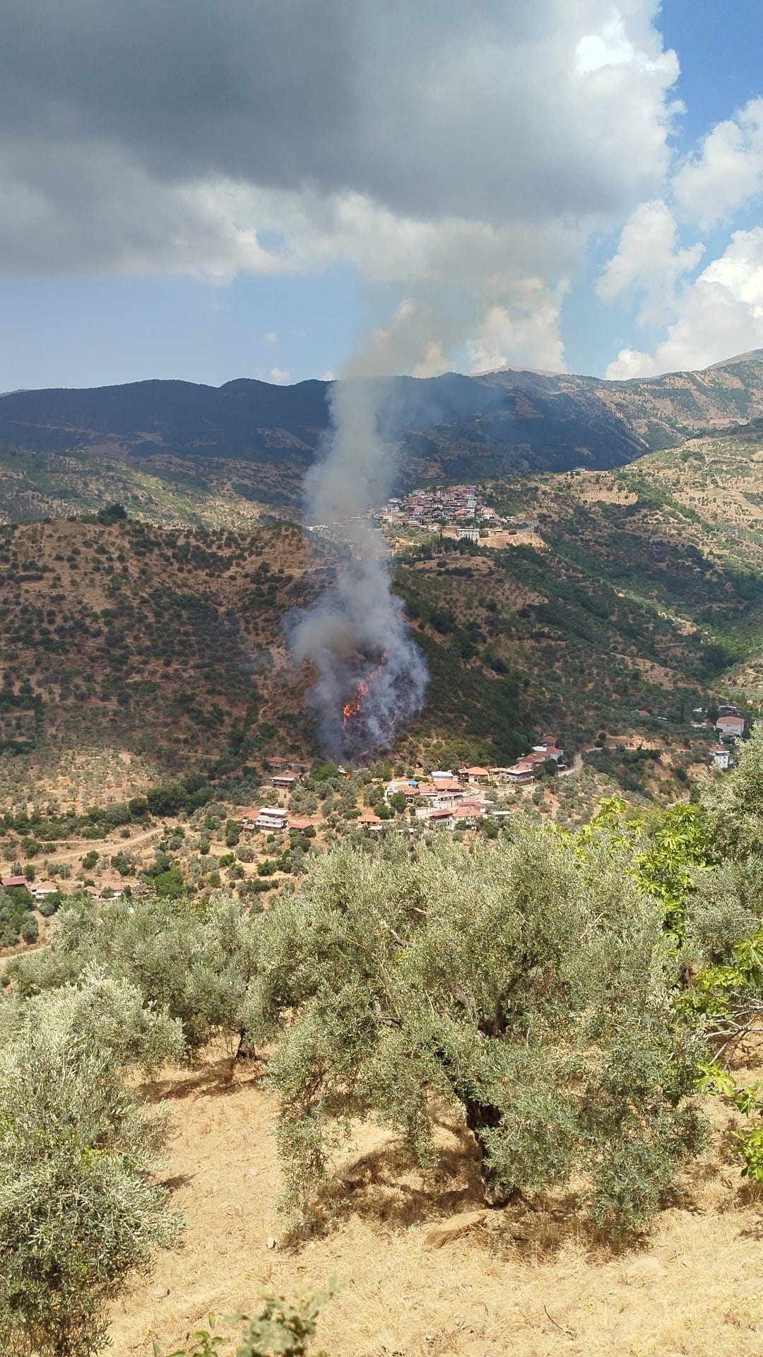 Aydın'da Evdeki Yangın Araziye Sıçradı (9)