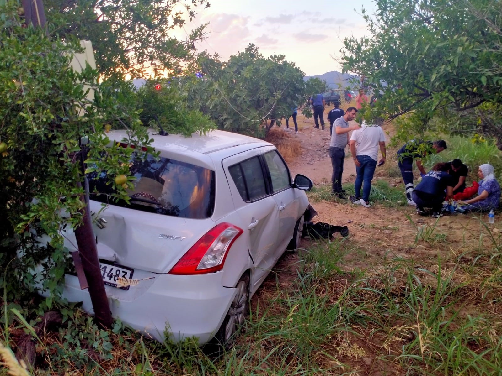 Aydın'da Otomobil Tarlaya Uçtu