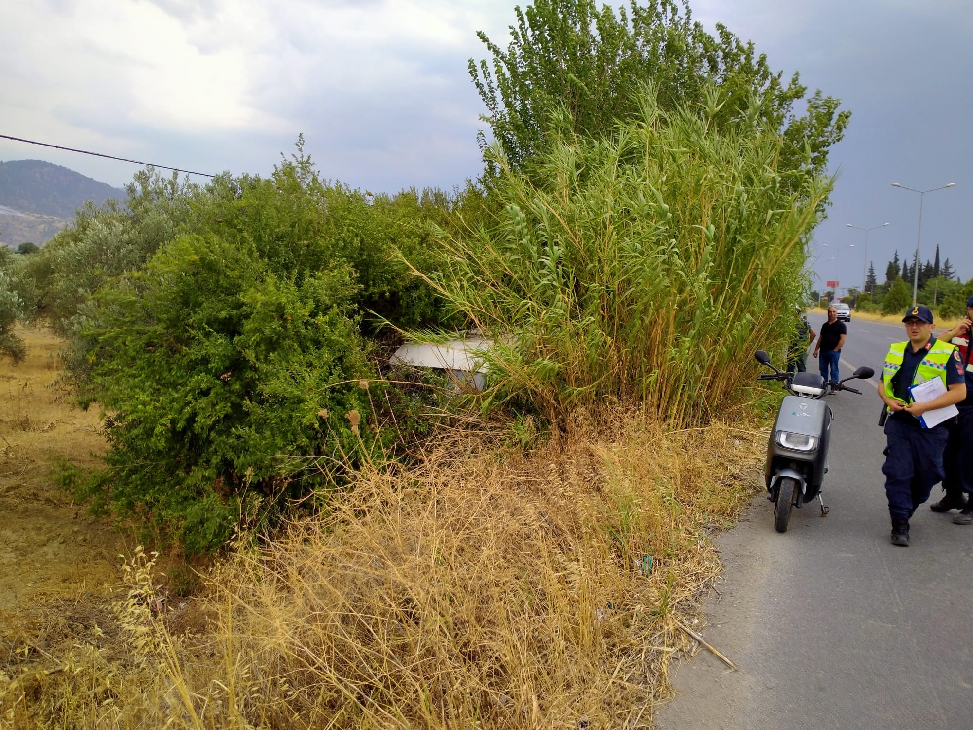 Aydın'da Ticari Araç Yoldan Çıktı (5)