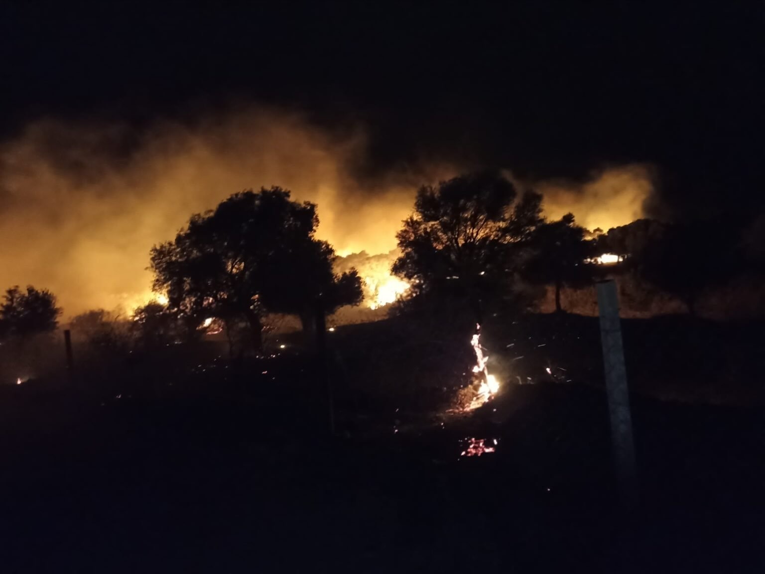 Aydın'da Yangına Sebep Olan 3 Kişi Yakalandı 2