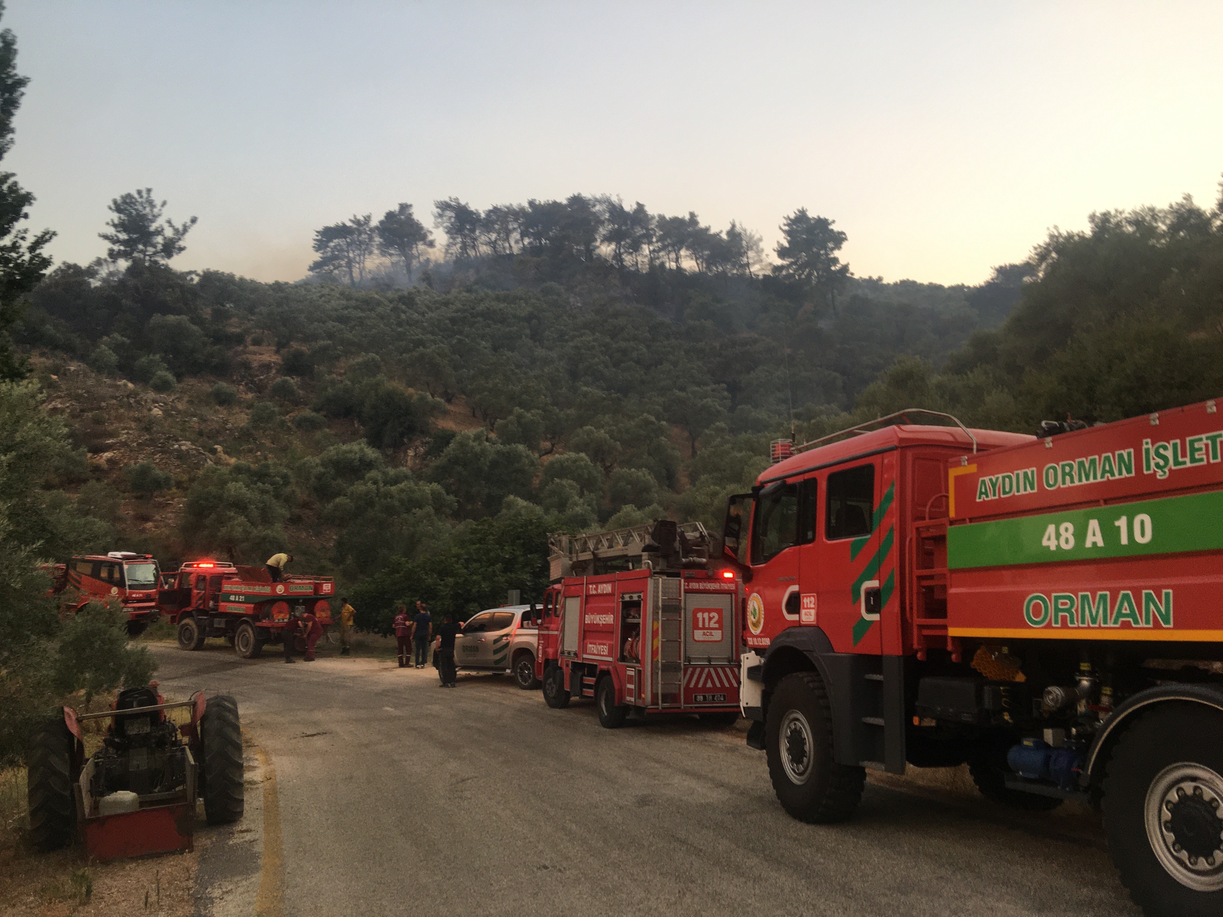 Aydın'daki Yangın Kontrol Altına Alındı (4)