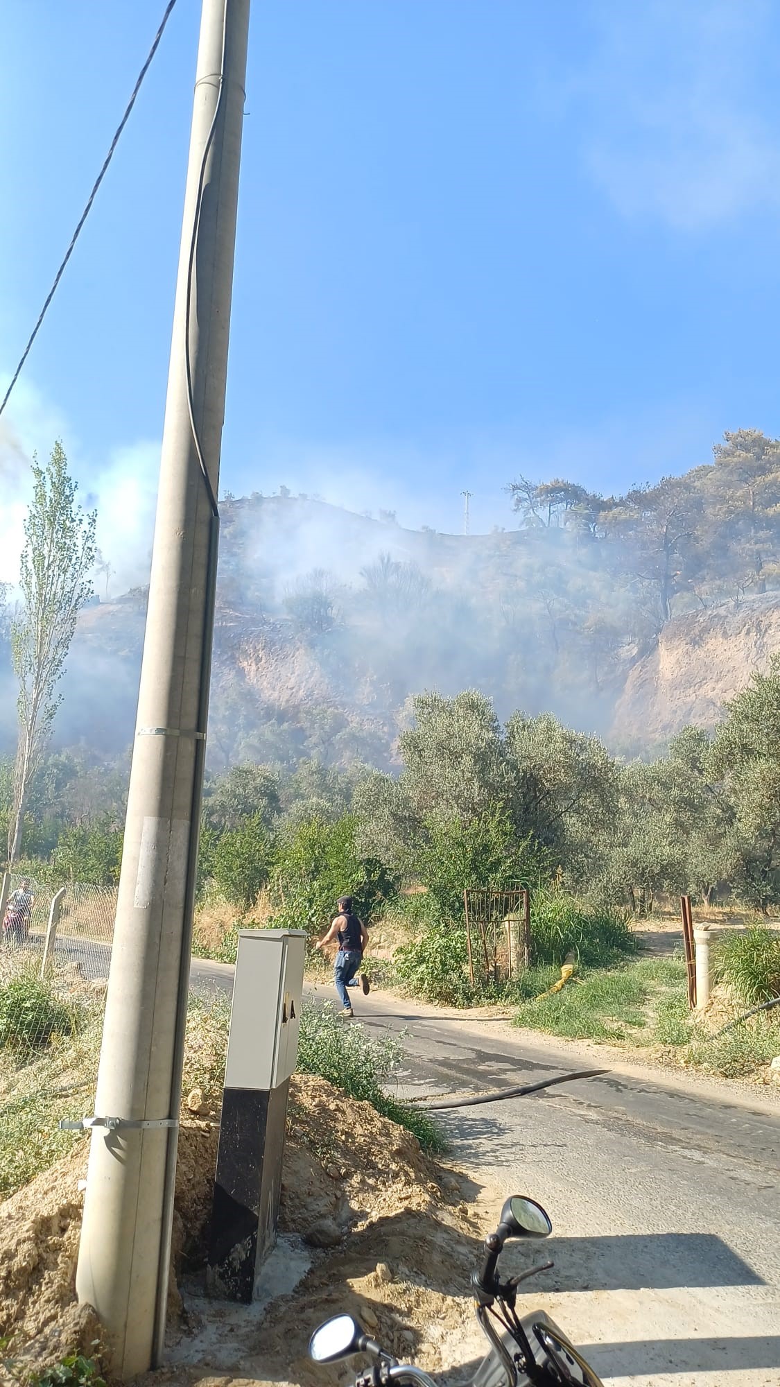 Aydın'daki Yangına Havadan Ve Karadan Müdahale Devam Ediyor (3)