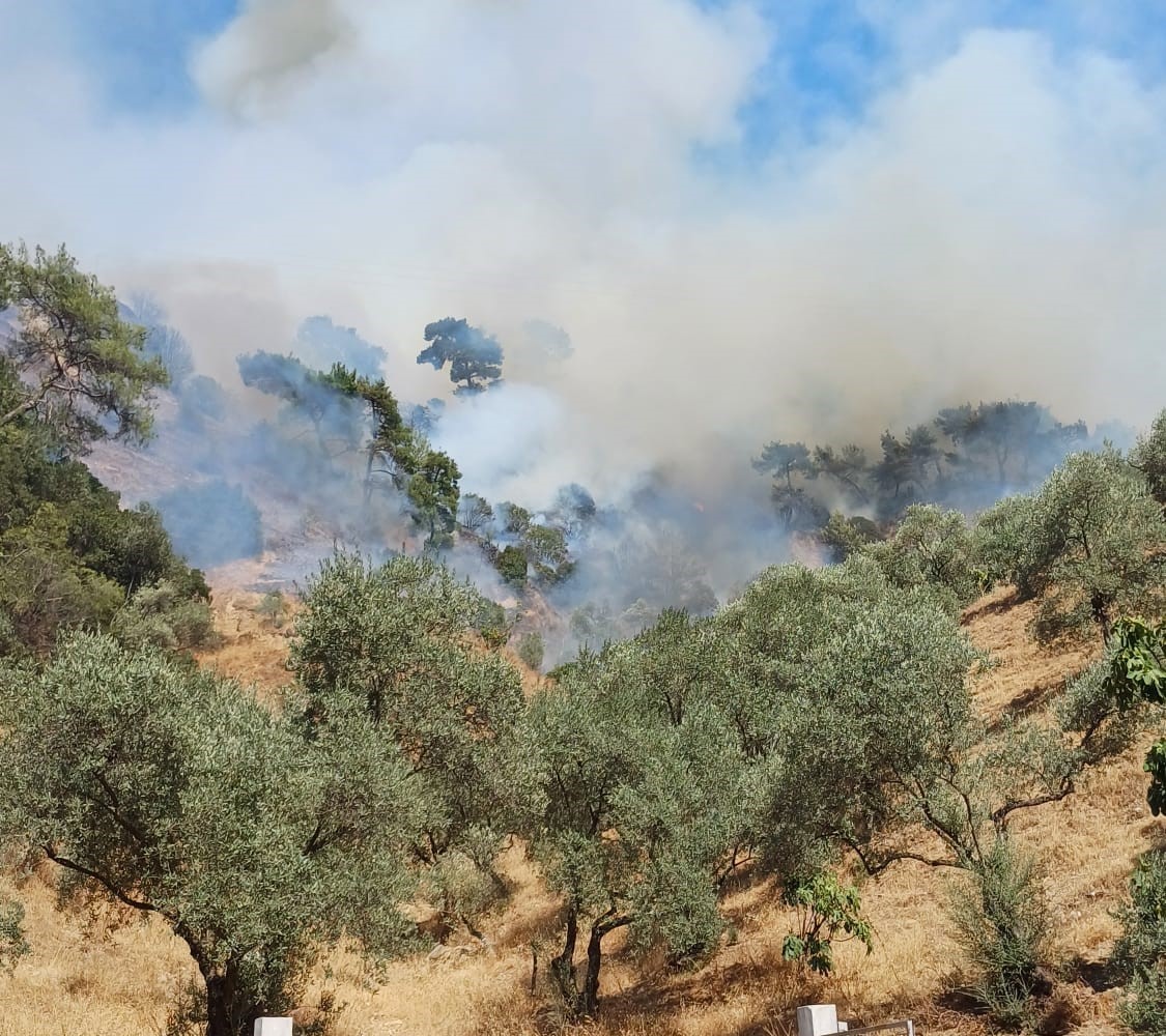 Aydın'daki Yangına Havadan Ve Karadan Müdahale Devam Ediyor