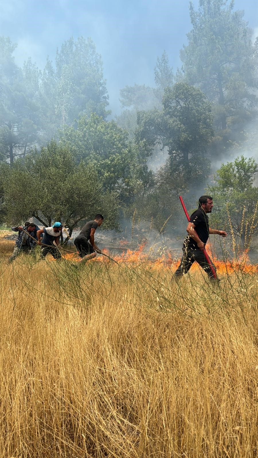 Aydın'daki Yangından Haber Geldi.. İşte Detaylar (3)