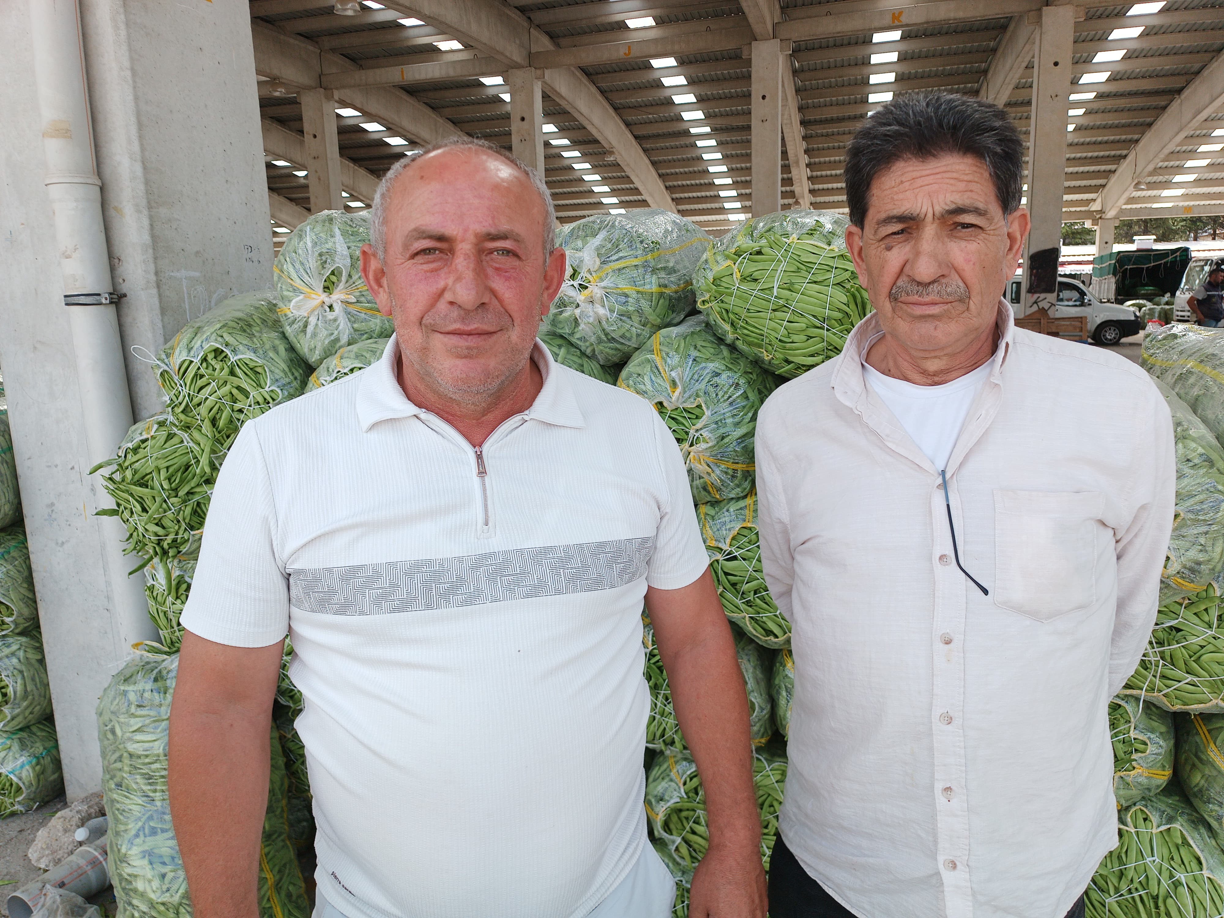 Fasulye Fiyatı Belli Oldu, Üretici Memnun (3)