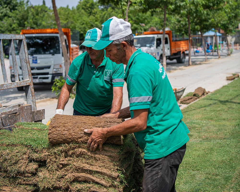 Kirazlı Peyzaj Çalışması (2)-1