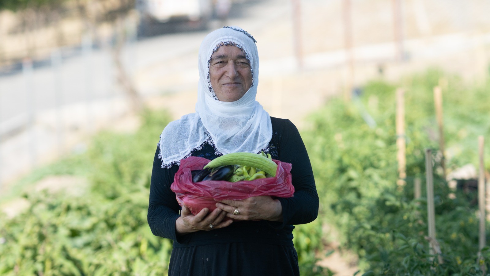 Mahalle Bostanında Hasat Zamanı (3)