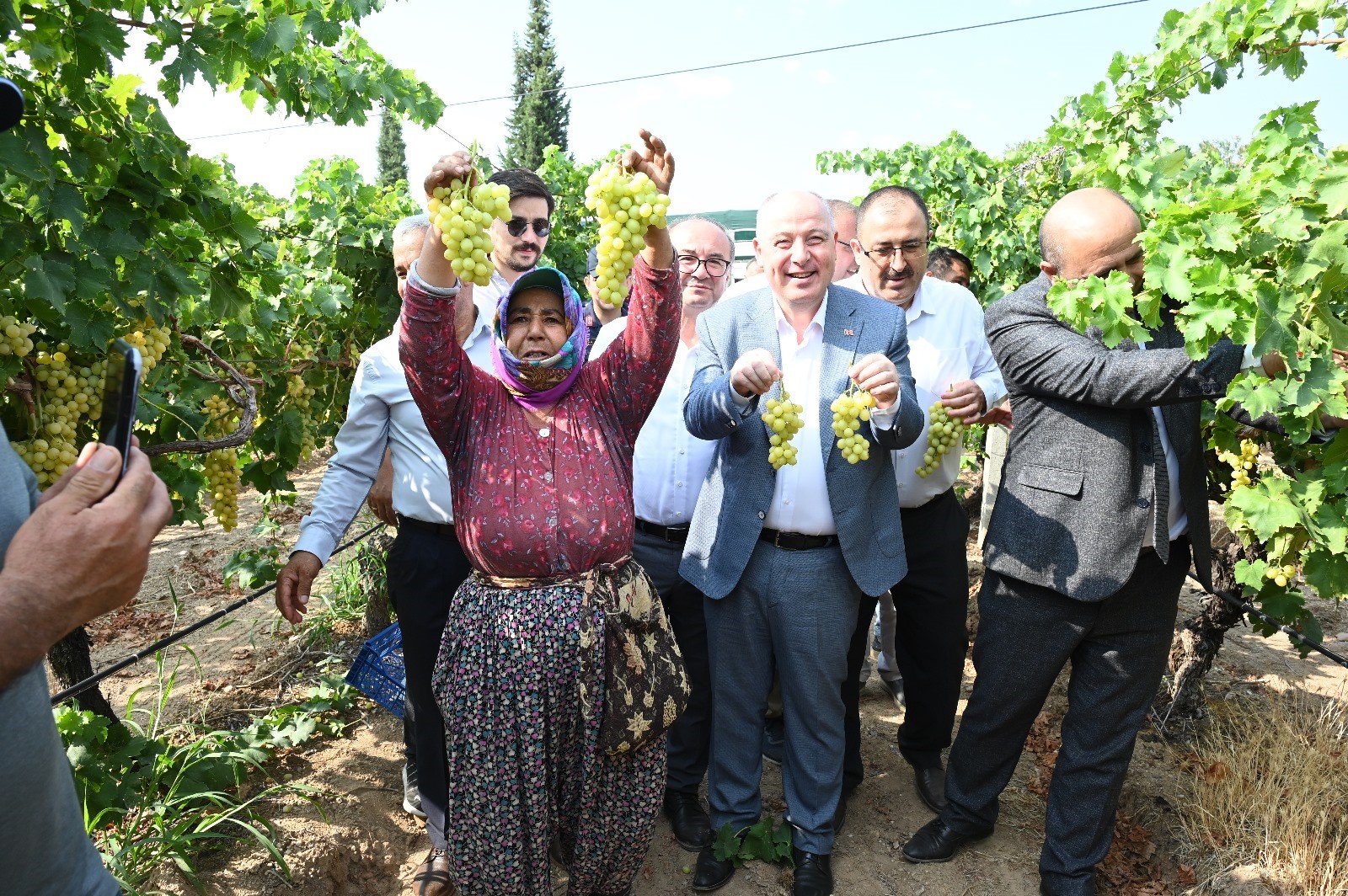 Üzüm Hasadı Başladı