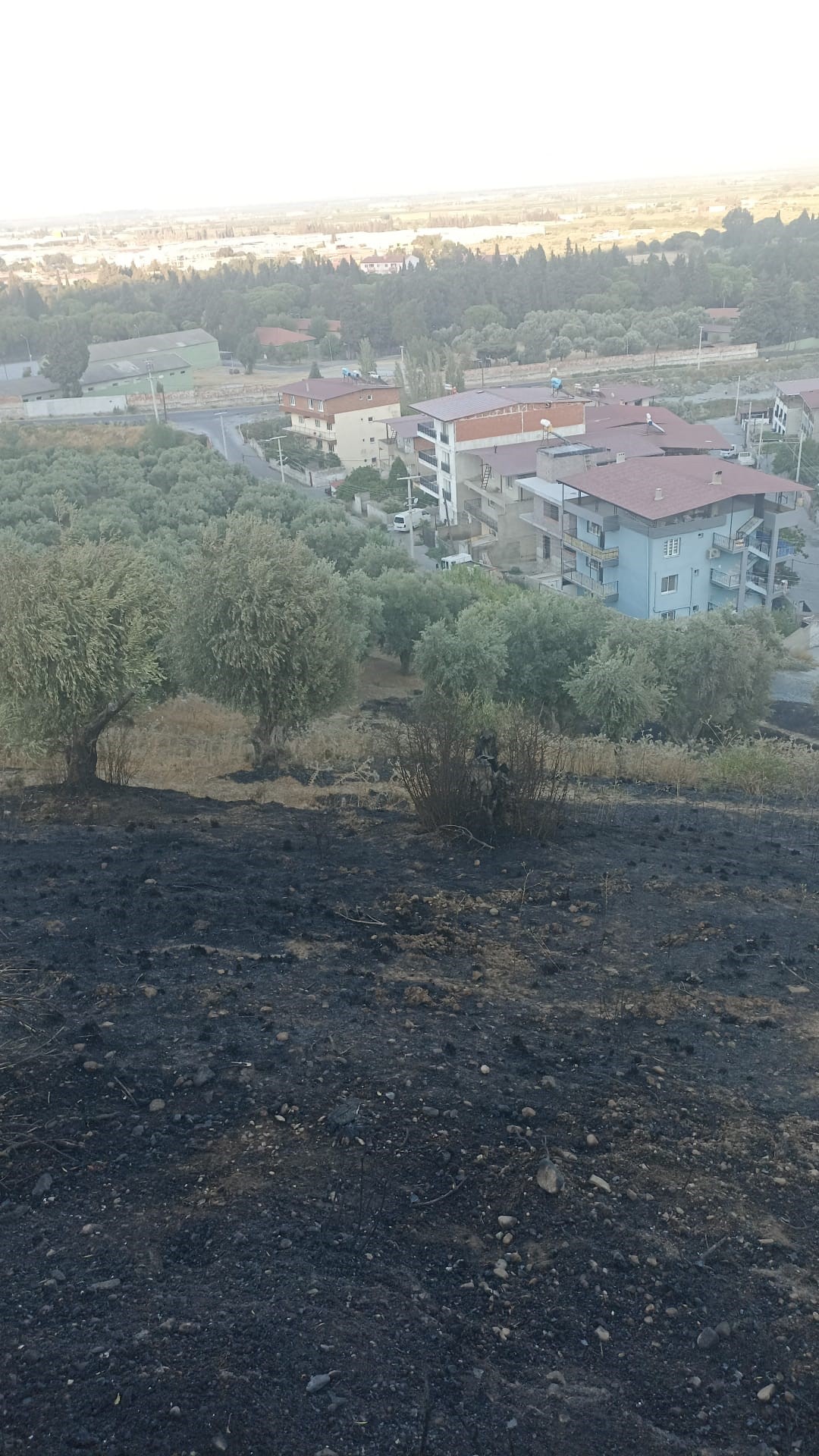 Aydın Büyükşehir Belediyesi Yangınlara Anında Müdahale Etti (5)