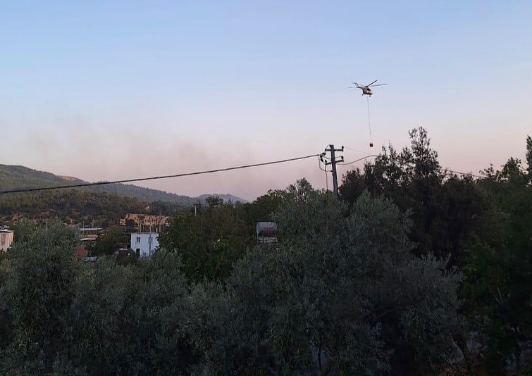 Aydın Çine'de Orman Yangını (3)