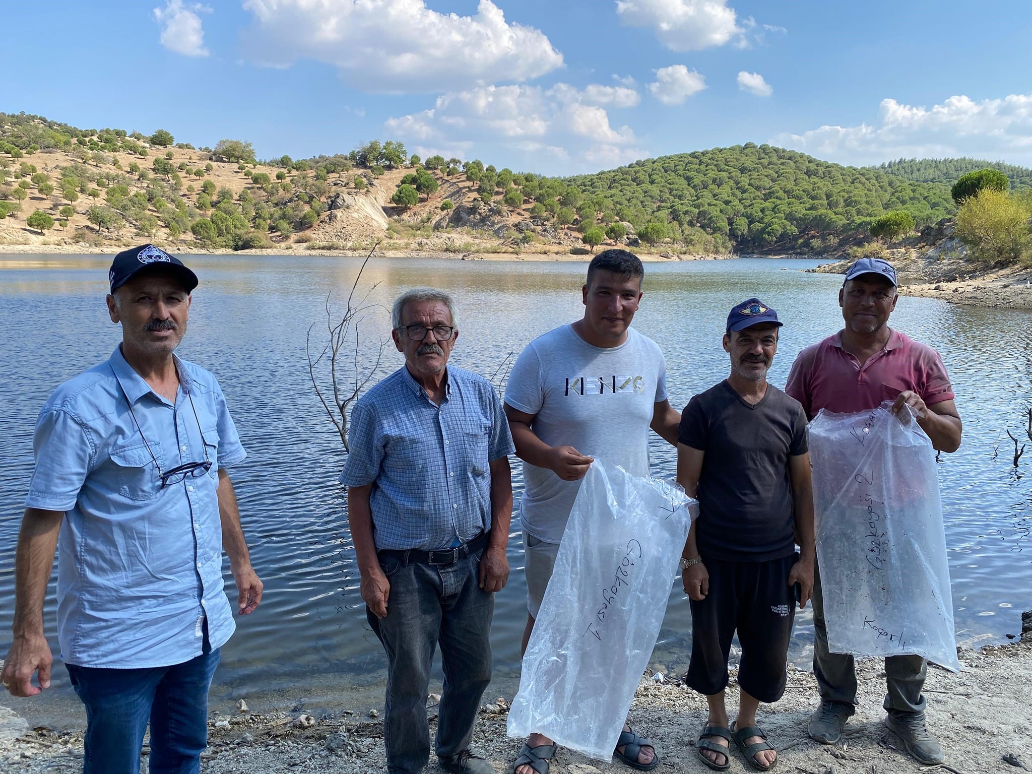 Aydın Koçarlı'da Sazan Yavruları Gölete Bırakıldı