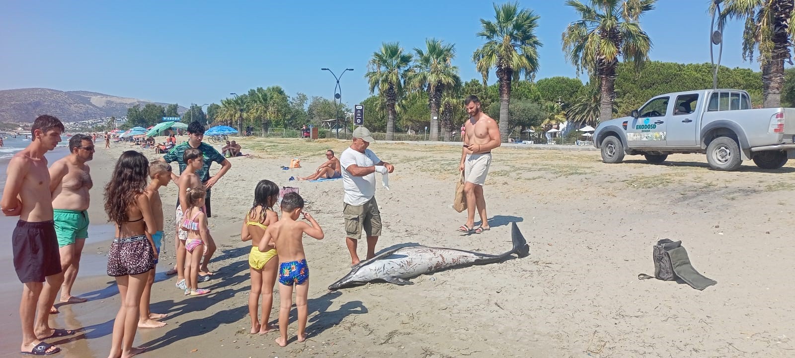 Aydın Kuşadası'nda Üzen Görüntü