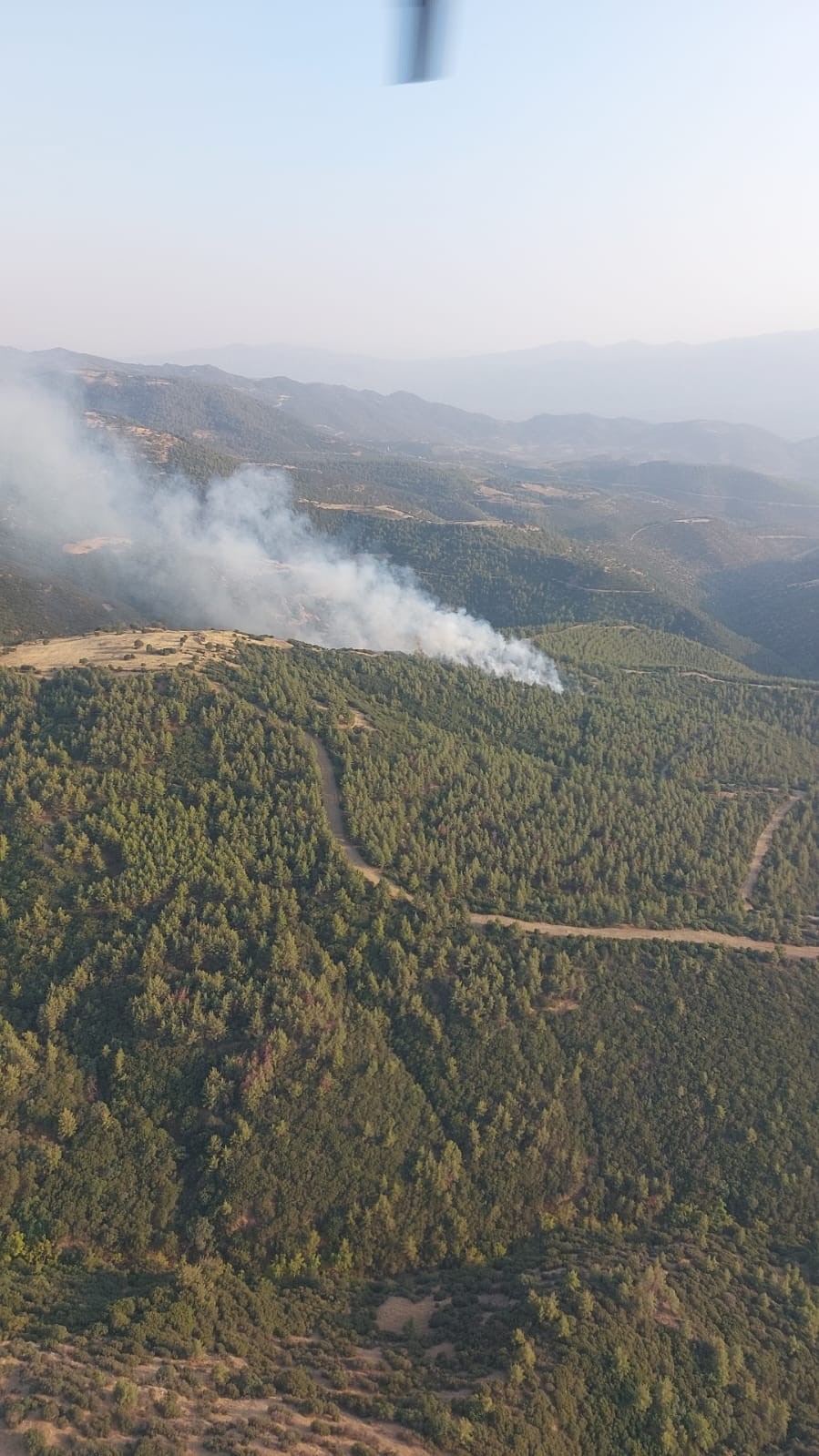 Aydın Nazilli'deki Yangında Acı Tablo (4)