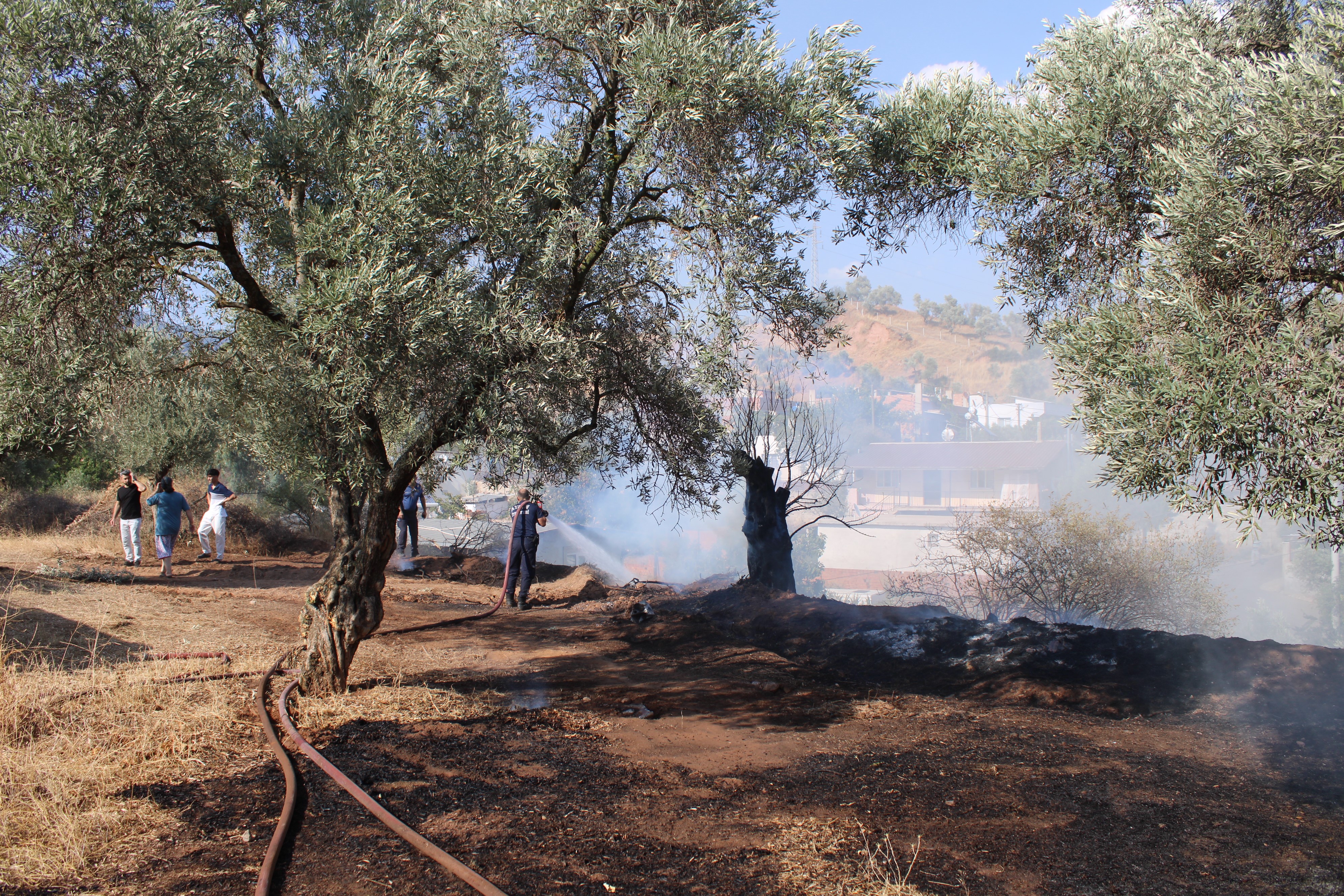 Aydın'da Faciadan Dönüldü (4)-1