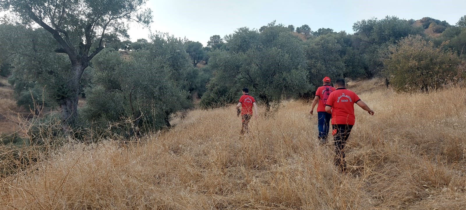 Aydın'da Herkes Onu Arıyor