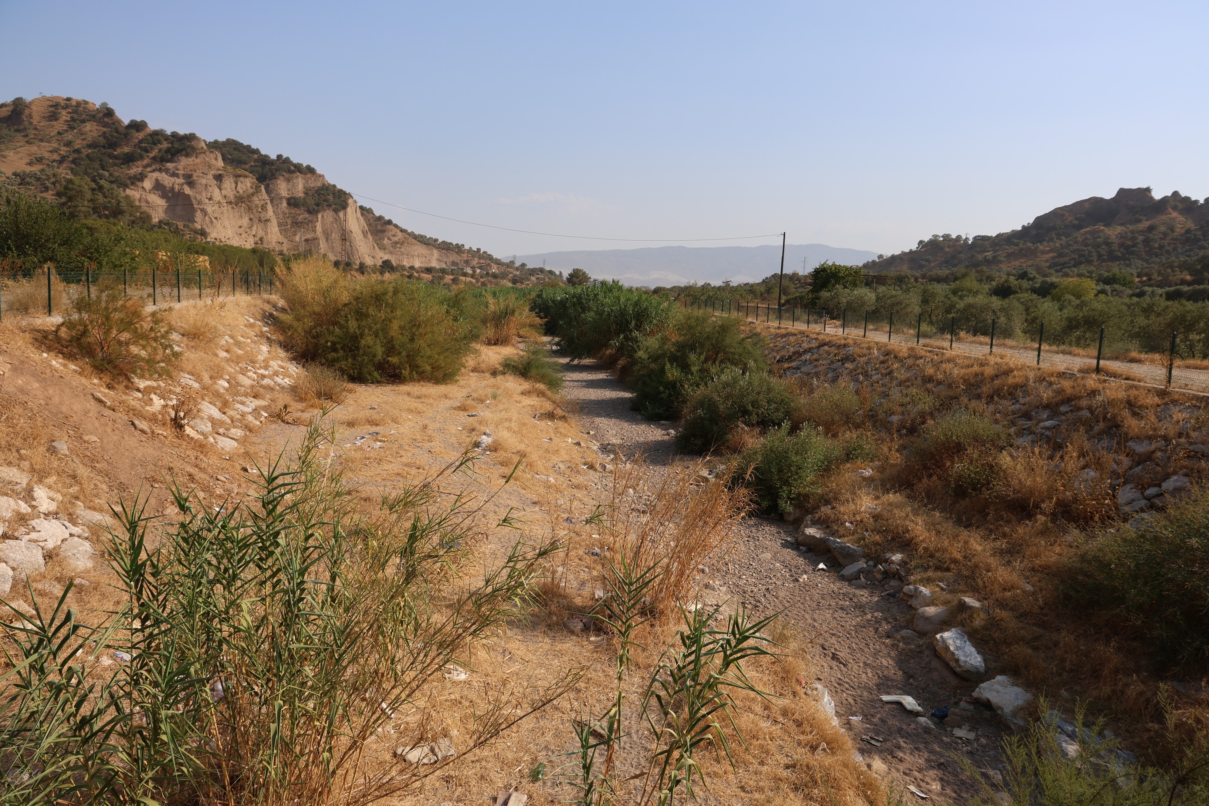 Aydın'da Korkutan Görüntü (6)