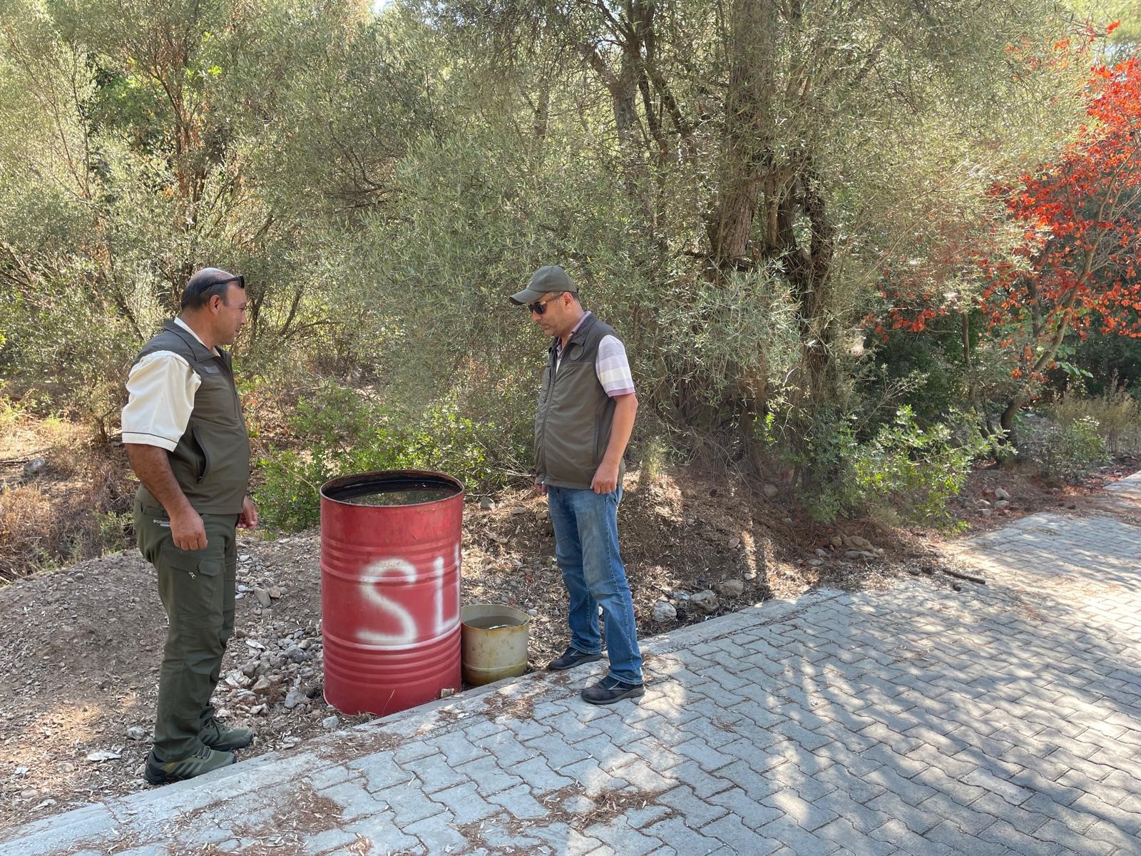 Aydın'da Orman Yangınına Bidonlu Önlem (2)