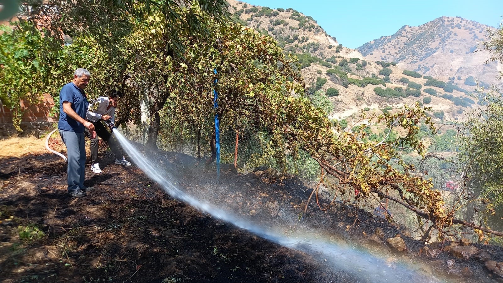 Aydın'da Panik Anları (3)