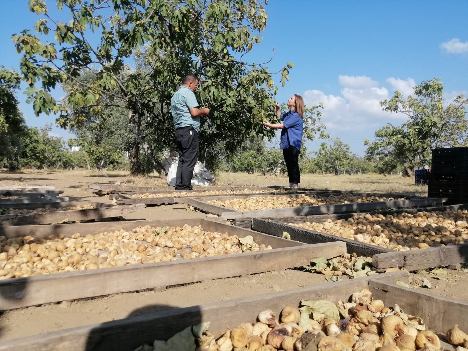 Aydın'da Üreticiler Bakanlık Yetkilileri Ile Bir Araya Geldi (2)