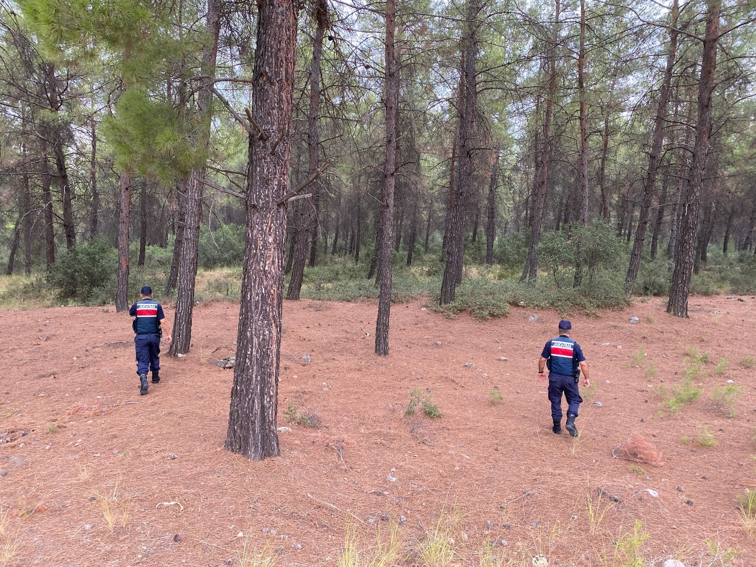 Aydın'da Yasak Bölgede 31 Kişi Yakalandı (2)