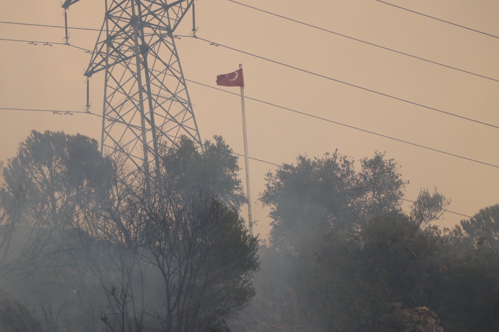 Aydın'daki Yangında Dağ, Taş Yandı; Türk Bayrağı Alevlerden Korundu (3)