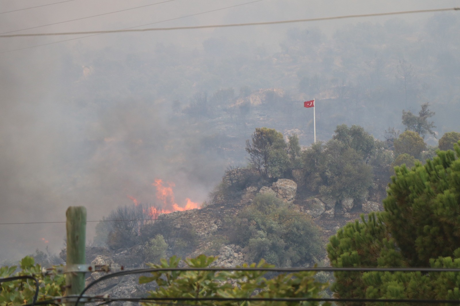 Aydın'daki Yangında Dağ, Taş Yandı; Türk Bayrağı Alevlerden Korundu