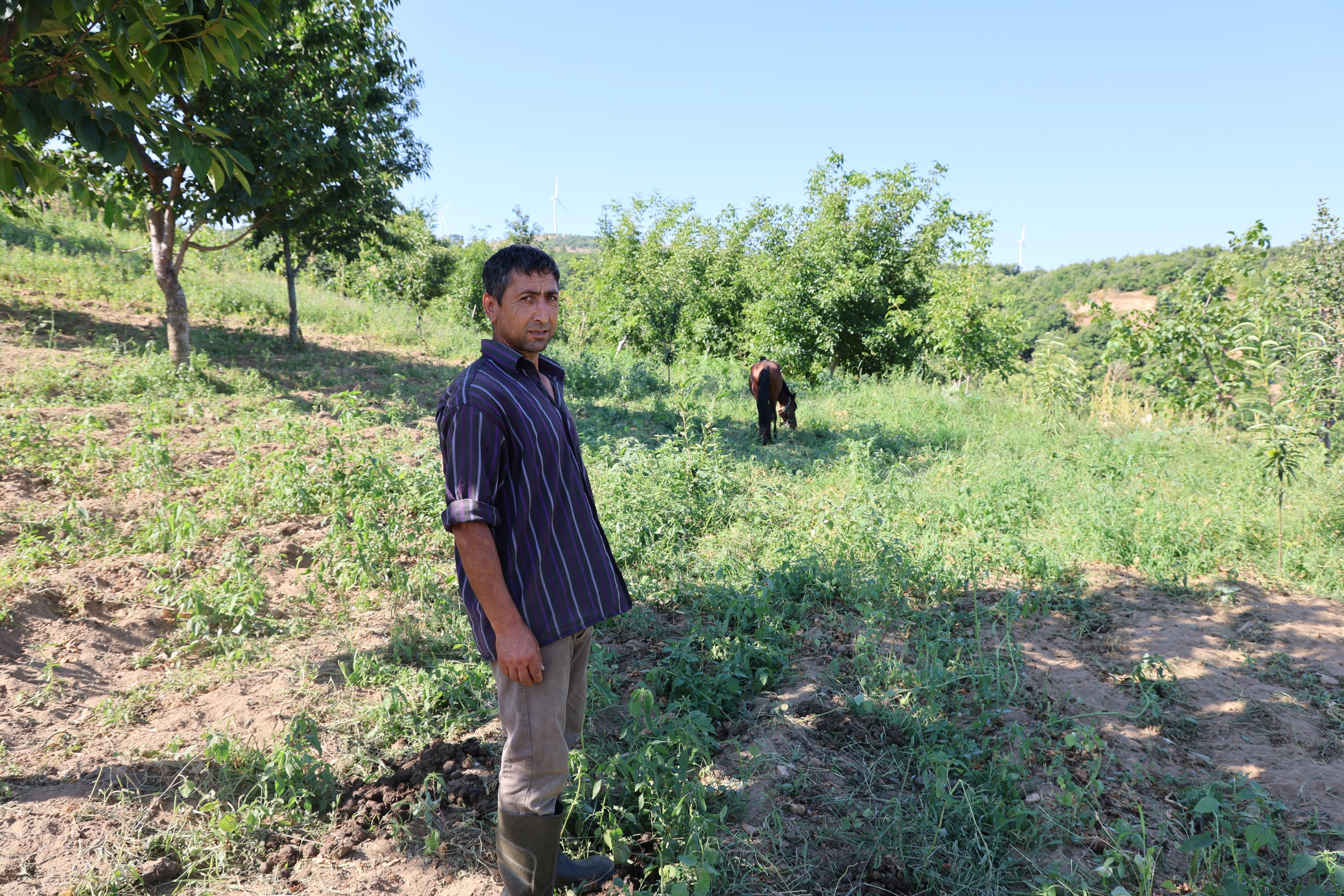 Aydınlı Üreticiler Dertli (3)