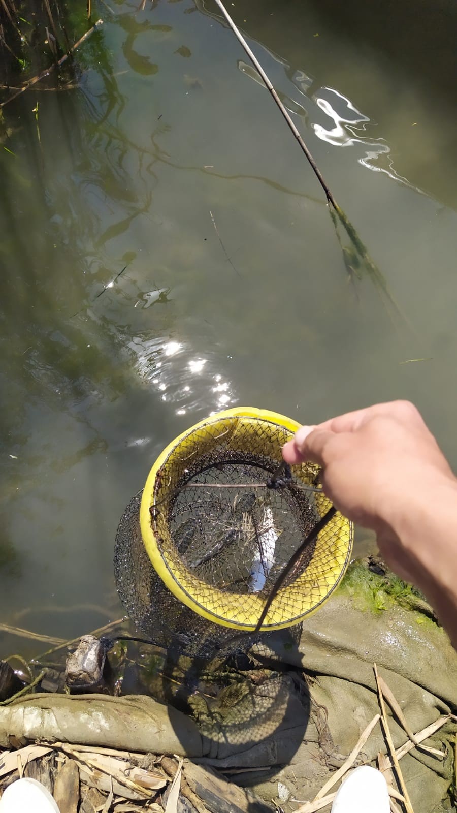 Ekipler Büyük Menderes Nehri'nde.. (6)