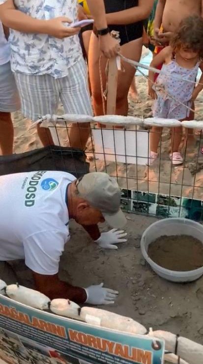 Yumurtalarından Çıkan 260 Yavru Caretta Özgürlüğe Kulaç Attılar (4)