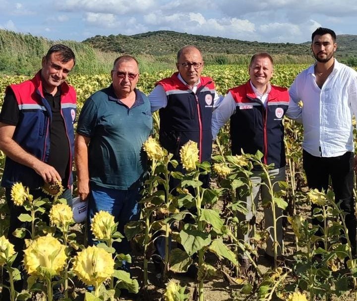 Aydın Didim'de Üretim Alanları Kontrol Edildi (4)