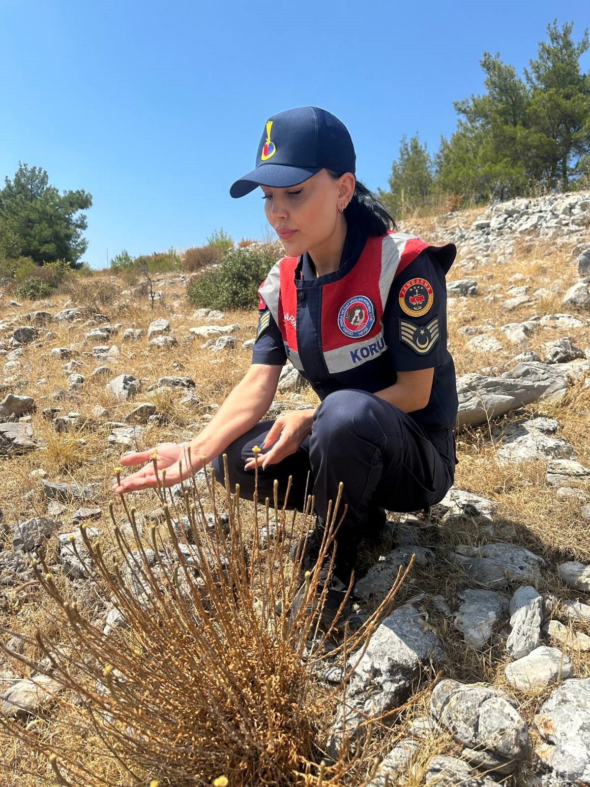 Aydın Kuşadası'nda Bu Çiçekten 11 Tane Kaldı