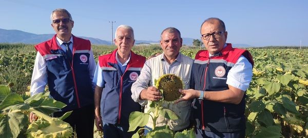 Aydın'da Ayçiçeği Hasadı Öncesi Üreticilere Destek Müjdesi (3)