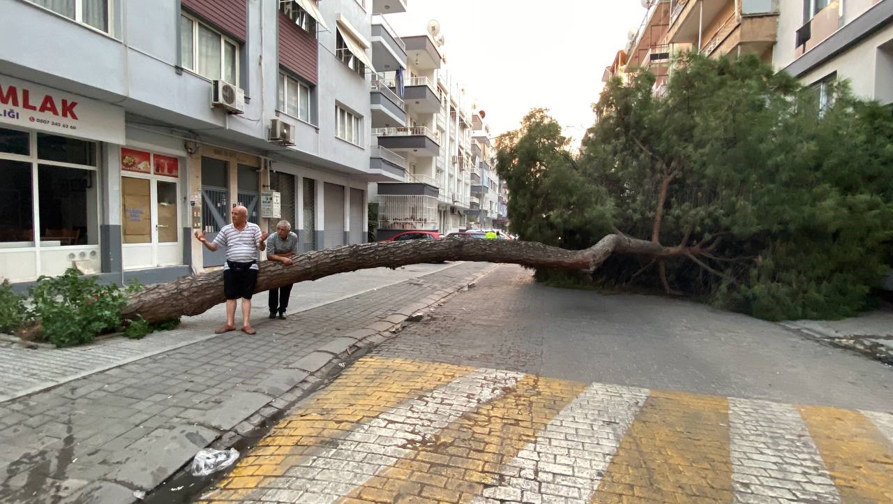 Aydın'da Faciadan Dönüldü-4