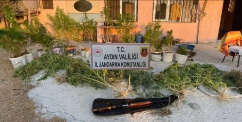 Aydın'da Jandarmadan Uyuşturucu Baskını 1 Tutuklama