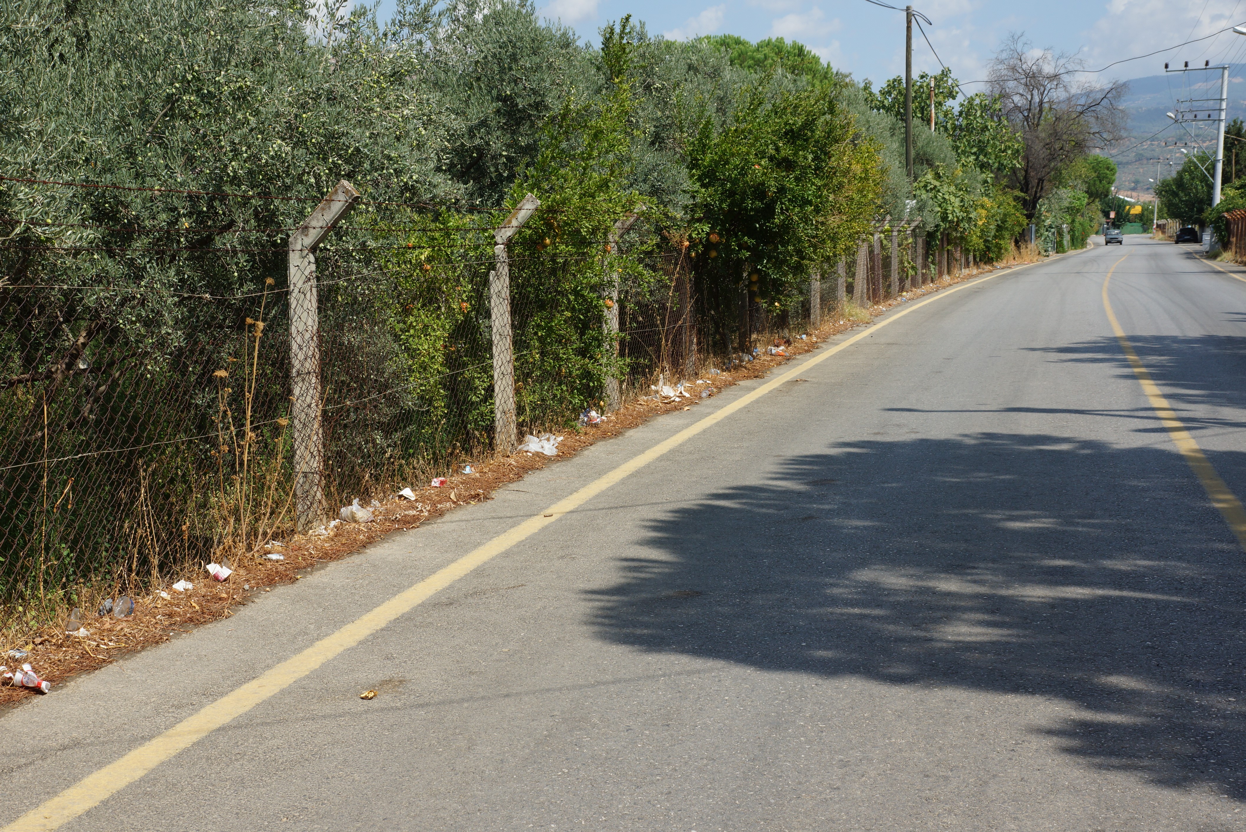 Efeler Kızılcaköy Mahallesi'nde Yol Kenarına Atılan Çöpler Çevreyi Kirletiyor (2)