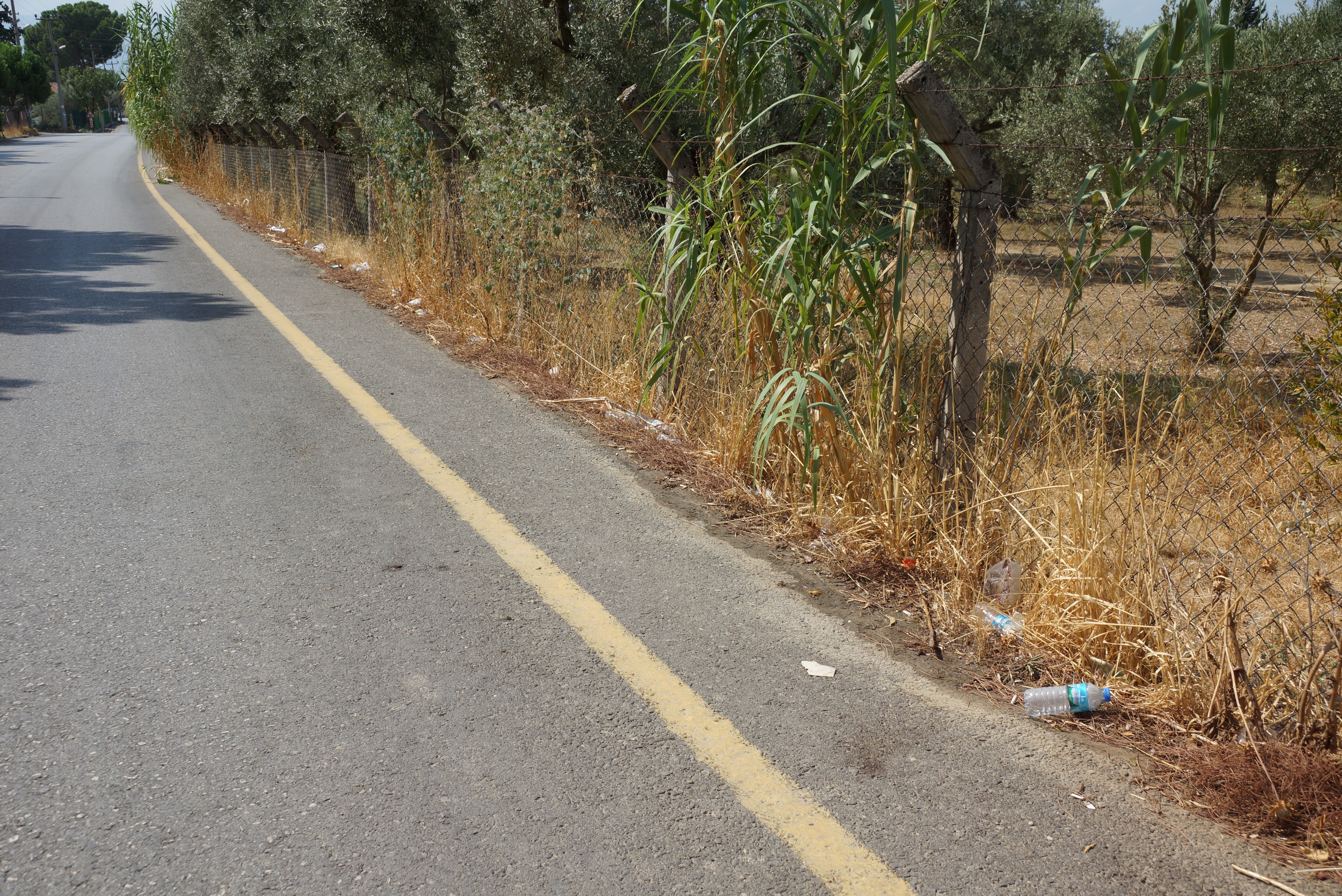 Efeler Kızılcaköy Mahallesi'nde Yol Kenarına Atılan Çöpler Çevreyi Kirletiyor (4)