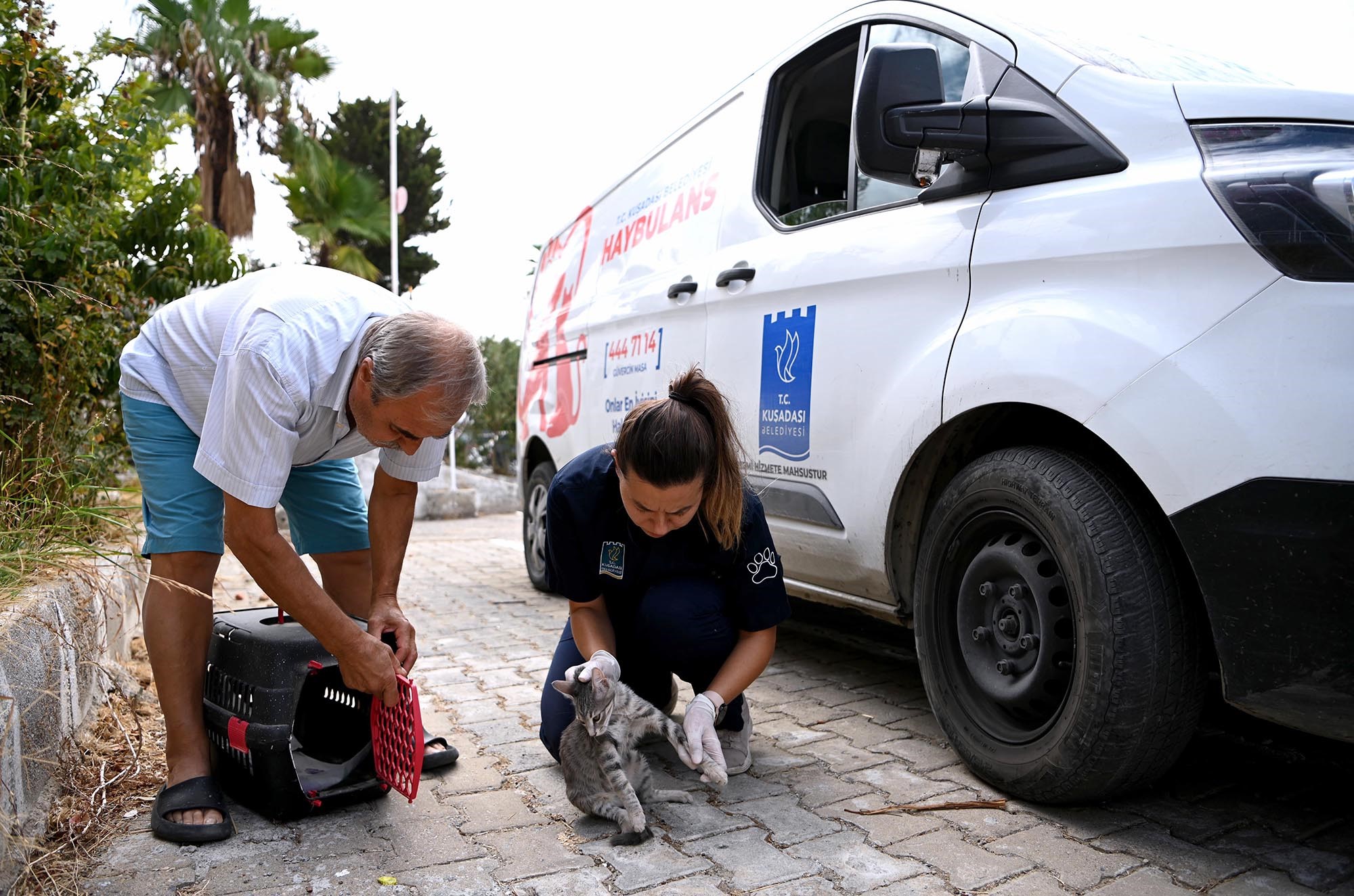 Kuşadası’nda Haybulans 16 Bin 614 Can Dostun Yardımına Koştu (5)