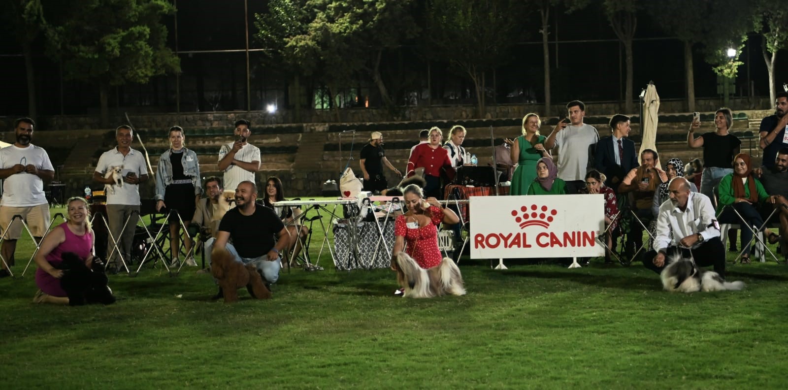 Kuşadası'nda Renkli Köpek Şöleni 'International Dog Show' Sona Erdi (7)